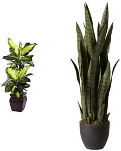 Nearly Natural, Green 4855 35in. Sansevieria With Black Planter & 6ft. Ficus Artificial Trees, 72in, Green -Artificial Trees Store 41CLJ53F9BL. AC 1