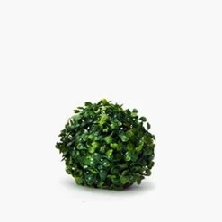 ELITE FLORAL Boxwood Topiary Ball – Artificial Topiary Plant For Weddings, Parties, Home Decoration, Topiary Substitution, Indoor Artificial Plant Ball – 4” Diameter – Green -Artificial Trees Store 41CfvVvaSUL. AC