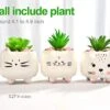 B SEPOR 3 Little Kitty Cats Small Artificial Succulents Potted With White Porcelain Pots Ceramic Animal Planter Gift Set For Home And Office Decor -Artificial Trees Store 41CgSyhmyZL