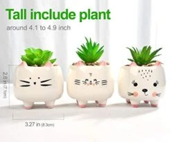 B SEPOR 3 Little Kitty Cats Small Artificial Succulents Potted With White Porcelain Pots Ceramic Animal Planter Gift Set For Home And Office Decor