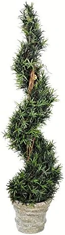 Vickerman Everyday Artificial Spiral Rosemary Tree 34 Inch Tall - Potted Natural Green Topiary - Indoor Home Living Room Office Faux Decor - Maintenance Free 6 Vickerman Everyday Artificial Spiral Rosemary Tree 34 Inch Tall - Potted Natural Green Topiary - Indoor Home Living Room Office Faux Decor - Maintenance Free - Image 4