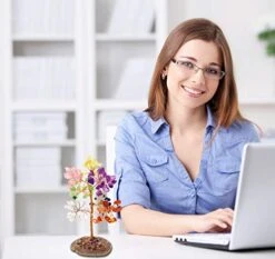 Mina Heal Crystal Gem Money Tree For Chakra Healing Feng Shui Fortune Good Luck Wealth & Prosperity 17 Mina Heal Crystal Gem Money Tree For Chakra Healing Feng Shui Fortune Good Luck Wealth & Prosperity -Artificial Trees Store 41D8KxFLUVL