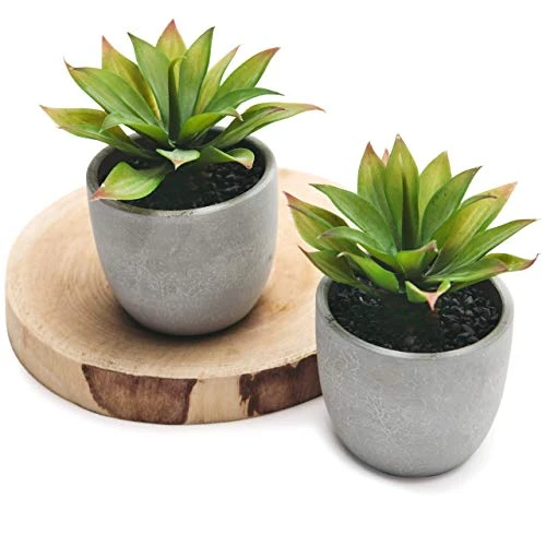 Kurrajong Farmhouse Fake Plants | Fake Succulents Set Of Two | Succulent Plants Artificial | Artificial Succulents | Fake Agave Artificial Plants 6 Kurrajong Farmhouse Fake Plants | Fake Succulents Set Of Two | Succulent Plants Artificial | Artificial Succulents | Fake Agave Artificial Plants - Image 4