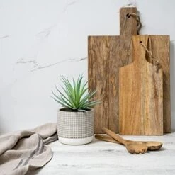 Kurrajong Farmhouse Faux Plant In Pot - 8" X 4.5" | Beautiful Faux Succulent Plant Decor | Artificial Succulent Plants | Faux Plants Indoors 9 Kurrajong Farmhouse Faux Plant In Pot - 8" X 4.5" | Beautiful Faux Succulent Plant Decor | Artificial Succulent Plants | Faux Plants Indoors -Artificial Trees Store 41DTerJGqxL