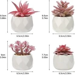 CASTNOO Set Of 4 Succulents Plants Artificial, Mini Fake Succulents For Women Office, Faux Succulents Decor, Artificial Succulents In Ceramic Pots For Desk, Home, Shelf Decorations -Artificial Trees Store 41DqJG1GnwL