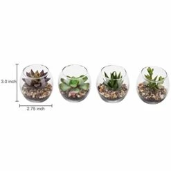 MyGift Assorted Artificial Succulent Fake Plant In Small Clear Glass Display Vases, Set Of 4 9 MyGift Assorted Artificial Succulent Fake Plant In Small Clear Glass Display Vases, Set Of 4 -Artificial Trees Store 41DxeONhB3L