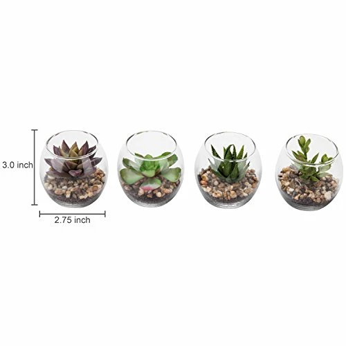 MyGift Assorted Artificial Succulent Fake Plant In Small Clear Glass Display Vases, Set Of 4 6 MyGift Assorted Artificial Succulent Fake Plant In Small Clear Glass Display Vases, Set Of 4 - Image 4