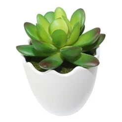Myartte Artificial Succulent Plants Fake Succulents Mini Faux Plants For Home/Office Docor (Resin Pots) … 12 Myartte Artificial Succulent Plants Fake Succulents Mini Faux Plants For Home/Office Docor (Resin Pots) … -Artificial Trees Store 41EBcGIVWNL