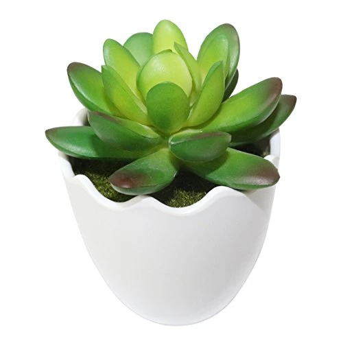 Myartte Artificial Succulent Plants Fake Succulents Mini Faux Plants For Home/Office Docor (Resin Pots) … 4 Myartte Artificial Succulent Plants Fake Succulents Mini Faux Plants For Home/Office Docor (Resin Pots) … - Image 2