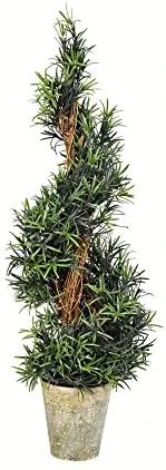 Vickerman Everyday Artificial Spiral Rosemary Tree 34 Inch Tall - Potted Natural Green Topiary - Indoor Home Living Room Office Faux Decor - Maintenance Free 5 Vickerman Everyday Artificial Spiral Rosemary Tree 34 Inch Tall - Potted Natural Green Topiary - Indoor Home Living Room Office Faux Decor - Maintenance Free - Image 3