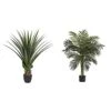 Nearly Natural 4' Spiked Agave Plant, Green & 5357 4ft. Golden Cane Palm Tree,Green 2 Nearly Natural 4' Spiked Agave Plant, Green & 5357 4ft. Golden Cane Palm Tree,Green -Artificial Trees Store 41EPA8Qq0UL