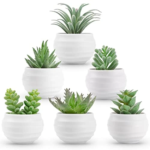 Der Rose 6 Packs Fake Succulents Plants Small Realistic Succulents Plants Artificial For Home Room Decor Indoor 3 Der Rose 6 Packs Fake Succulents Plants Small Realistic Succulents Plants Artificial For Home Room Decor Indoor