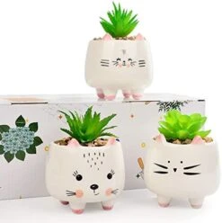 B SEPOR 3 Little Kitty Cats Small Artificial Succulents Potted With White Porcelain Pots Ceramic Animal Planter Gift Set For Home And Office Decor -Artificial Trees Store 41EtXh8itL. AC