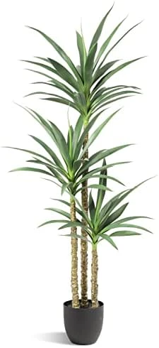 Waoops Artificial Tree 5.3Ft Faux Agave Plant With 3 Heads In Plastic Pot Fake Tree For Home Decor Indoor Or Outdoor Office Decoration Housewarming Gift 8 Waoops Artificial Tree 5.3Ft Faux Agave Plant With 3 Heads In Plastic Pot Fake Tree For Home Decor Indoor Or Outdoor Office Decoration Housewarming Gift - Image 6
