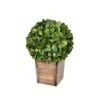 Vickerman Everyday 9 Inch Artificial Boxwood Topiary Ball - Natural Green - For Indoor Use Suspended Or Arrangement Accent - Home Tabletop Fake Bush Decoration -Artificial Trees Store 41F5OuvbGLL
