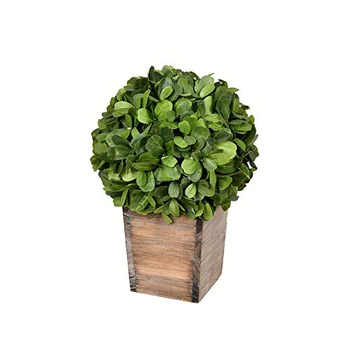 Vickerman Everyday 9 Inch Artificial Boxwood Topiary Ball - Natural Green - For Indoor Use Suspended Or Arrangement Accent - Home Tabletop Fake Bush Decoration 3 Vickerman Everyday 9 Inch Artificial Boxwood Topiary Ball - Natural Green - For Indoor Use Suspended Or Arrangement Accent - Home Tabletop Fake Bush Decoration