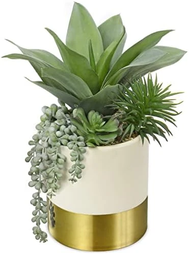 Large Artificial Succulents Plants Faux Succulents 12" Fake Succulent Plants In Gold Ceramic Pot Succulent Plant For Desk Modern Home Living Room Office Table Shelf Decor 9 Large Artificial Succulents Plants Faux Succulents 12" Fake Succulent Plants In Gold Ceramic Pot Succulent Plant For Desk Modern Home Living Room Office Table Shelf Decor - Image 7