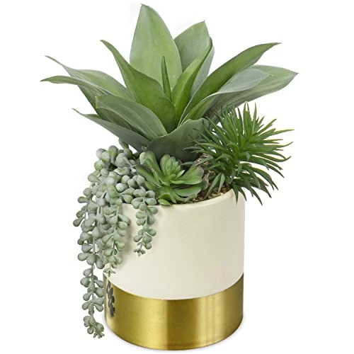 Large Artificial Succulents Plants Faux Succulents 12" Fake Succulent Plants In Gold Ceramic Pot Succulent Plant For Desk Modern Home Living Room Office Table Shelf Decor 3 Large Artificial Succulents Plants Faux Succulents 12" Fake Succulent Plants In Gold Ceramic Pot Succulent Plant For Desk Modern Home Living Room Office Table Shelf Decor