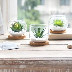 Mkono Artificial Succulent In Clear Glass Pot, Set Of 3 Mini Potted Fake Plants For Women Office Decor Small Faux Green Plant With BambooTray For Bookshelf Bathroom Kitchen Decor Tabletop Centerpiece