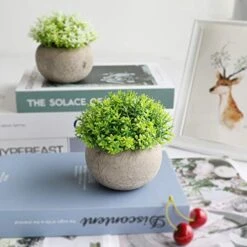 THE BLOOM TIMES 2 Pcs Fake Plant For Bathroom/Home Office Decor, Small Artificial Faux Greenery For House Decorations (Potted Plants) 9 THE BLOOM TIMES 2 Pcs Fake Plant For Bathroom/Home Office Decor, Small Artificial Faux Greenery For House Decorations (Potted Plants) -Artificial Trees Store 41GLx2mKAxL