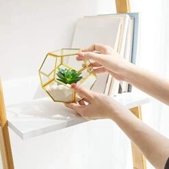 Mkono Artificial Succulent In 3 Pack Mini Glass Geometric Terrarium, Miniature Potted Faux Plant Bookshelf Desk Boho Office Room Decor For Women Girls Dorm Gift Idea, Gold 12 Mkono Artificial Succulent In 3 Pack Mini Glass Geometric Terrarium, Miniature Potted Faux Plant Bookshelf Desk Boho Office Room Decor For Women Girls Dorm Gift Idea, Gold -Artificial Trees Store 41GwZshCaiL