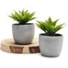 Kurrajong Farmhouse Fake Plants | Fake Succulents Set Of Two | Succulent Plants Artificial | Artificial Succulents | Fake Agave Artificial Plants -Artificial Trees Store 41I5fcrIEuL