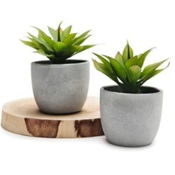 Kurrajong Farmhouse Fake Plants | Fake Succulents Set Of Two | Succulent Plants Artificial | Artificial Succulents | Fake Agave Artificial Plants