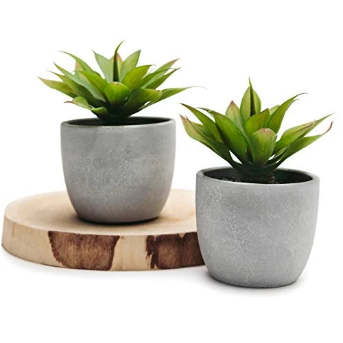 Kurrajong Farmhouse Fake Plants | Fake Succulents Set Of Two | Succulent Plants Artificial | Artificial Succulents | Fake Agave Artificial Plants 3 Kurrajong Farmhouse Fake Plants | Fake Succulents Set Of Two | Succulent Plants Artificial | Artificial Succulents | Fake Agave Artificial Plants