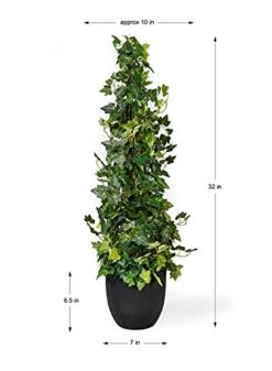 Serene Spaces Living Artificial Ivy Vine Topiary Tree, Natural Touch And Feel In Your Home Decor With Realistic Design, Sold Individually, Measures 32" Tall And 9" Diameter 11 Serene Spaces Living Artificial Ivy Vine Topiary Tree, Natural Touch And Feel In Your Home Decor With Realistic Design, Sold Individually, Measures 32" Tall And 9" Diameter -Artificial Trees Store 41I7uDnMl4L