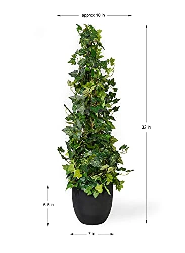 Serene Spaces Living Artificial Ivy Vine Topiary Tree, Natural Touch And Feel In Your Home Decor With Realistic Design, Sold Individually, Measures 32" Tall And 9" Diameter 6 Serene Spaces Living Artificial Ivy Vine Topiary Tree, Natural Touch And Feel In Your Home Decor With Realistic Design, Sold Individually, Measures 32" Tall And 9" Diameter - Image 4