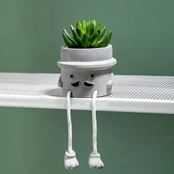 Lavenor Artificial Potted Plant Fake Succulent Plant Cute Hanging Leg Emotional Cement Potted Succulents Decor For Desk Shelf Bedroom Living Room And Office Decoration(Type A + Type C) 24 Lavenor Artificial Potted Plant Fake Succulent Plant Cute Hanging Leg Emotional Cement Potted Succulents Decor For Desk Shelf Bedroom Living Room And Office Decoration(Type A + Type C) -Artificial Trees Store 41IJLfrg KL. AC