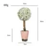OAutoSjy Artificial Ball Shaped Tree Artificial Plants Potted Fake Topiary Single Ball Tree In Pot Simulation Plastic Faux Flower Ornament Tabletop Decorative Home Indoor Outdoor Decor, White Type 1 -Artificial Trees Store 41ITLE4U2bL