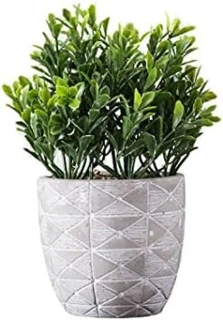 "FAVRD" Artificial Plants Boxwood In Cement Pot Environmentally Conscious Partly Recycled Fake Plants Topiary Shrubs Faux Plants Indoor Home Office Decor Desk, 6.5 X 6.5 X 9.5 Inches 8 "FAVRD" Artificial Plants Boxwood In Cement Pot Environmentally Conscious Partly Recycled Fake Plants Topiary Shrubs Faux Plants Indoor Home Office Decor Desk, 6.5 X 6.5 X 9.5 Inches -Artificial Trees Store 41Iblhq IBS. AC