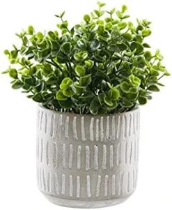 "FAVRD" Artificial Plants Boxwood In Cement Pot Environmentally Conscious Partly Recycled Fake Plants Topiary Shrubs Faux Plants Indoor Home Office Decor Desk, 6.5 X 6.5 X 9.5 Inches 9 "FAVRD" Artificial Plants Boxwood In Cement Pot Environmentally Conscious Partly Recycled Fake Plants Topiary Shrubs Faux Plants Indoor Home Office Decor Desk, 6.5 X 6.5 X 9.5 Inches -Artificial Trees Store 41JPZm7EgmS. AC