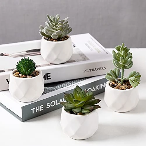 MyGift Set Of 4 Mini Assorted Artificial Succulent Fake Plants In Modern White Textured Ceramic Plant Pots 4 MyGift Set Of 4 Mini Assorted Artificial Succulent Fake Plants In Modern White Textured Ceramic Plant Pots - Image 2
