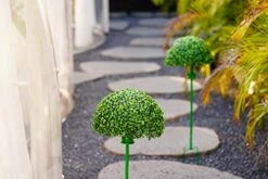 2pcsSolar Artificial Plant Topiary Ball Lights,Faux Boxwood Decorative Ball Solar Decor With 7 Color LED Lights Built-in For Backyard, Balcony,Garden Wedding And Home Decorative Sightseeing Tree Lamp -Artificial Trees Store 41K0jQuhEYL