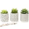 Kurrajong Farmhouse Artificial Succulents In Pots | Set Of 3 Black And White Ceramic Pots With Green Succulents Artificial | Faux Plants Indoor Fake Plants In Pots 4.75" High 2 Kurrajong Farmhouse Artificial Succulents In Pots | Set Of 3 Black And White Ceramic Pots With Green Succulents Artificial | Faux Plants Indoor Fake Plants In Pots 4.75" High -Artificial Trees Store 41KEENmpWmL