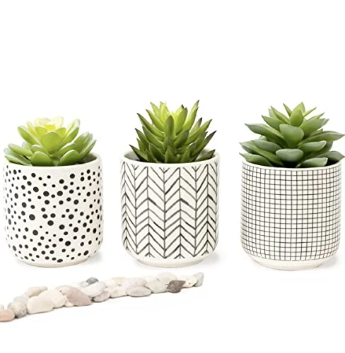 Kurrajong Farmhouse Artificial Succulents In Pots | Set Of 3 Black And White Ceramic Pots With Green Succulents Artificial | Faux Plants Indoor Fake Plants In Pots 4.75" High 3 Kurrajong Farmhouse Artificial Succulents In Pots | Set Of 3 Black And White Ceramic Pots With Green Succulents Artificial | Faux Plants Indoor Fake Plants In Pots 4.75" High