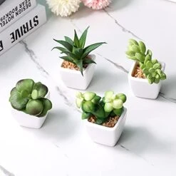 Artificial Succulent Plants Fake Succulent Plants Artificial Faux Succulents 4pcs Mini Potted Succulents For Home Office Room Decoration (Green) 10 Artificial Succulent Plants Fake Succulent Plants Artificial Faux Succulents 4pcs Mini Potted Succulents For Home Office Room Decoration (Green) -Artificial Trees Store 41L8qQFlGIS