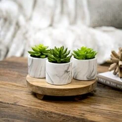 Kurrajong Farmhouse Artificial Succulent Plants In Pots | Mini Fake Plant For Shelves | Artificial Plants For Home Decor Indoor | Succulent Plants Artificial | Mini Plant Decor | Small Faux Plants -Artificial Trees Store 41L90SqYKvL