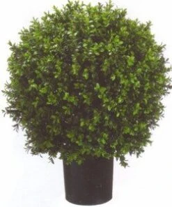 Silk Tree Warehouse Company Inc Two 2 Foot Outdoor Artificial Boxwood Ball Topiary Bushes Potted Plants 16 Inches Wide Silk Tree Warehouse Company Inc
