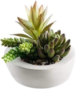 FAVRD Artificial Succulents In Cement Pot Environmentally Conscious Partly Recycled Fake Plants Artificial Plants Indoor Home Office Decor Desk Faux Plants, 8.5 X 8.5 X 8.75 Inches, Green, (10181-A) -Artificial Trees Store 41LKlYxv4L. AC