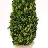 Tradingsmith Preserved Boxwood Cone Tree Topiary 20" -Artificial Trees Store 41LLhJRXDNL