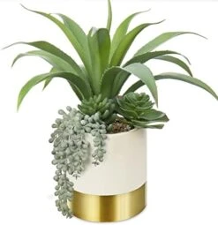 Large Artificial Succulents Plants Faux Succulents 12" Fake Succulent Plants In Gold Ceramic Pot Succulent Plant For Desk Modern Home Living Room Office Table Shelf Decor 16 Large Artificial Succulents Plants Faux Succulents 12" Fake Succulent Plants In Gold Ceramic Pot Succulent Plant For Desk Modern Home Living Room Office Table Shelf Decor -Artificial Trees Store 41Ld64rVMFL. AC