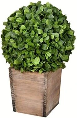 Vickerman Everyday 9 Inch Artificial Boxwood Topiary Ball - Natural Green - For Indoor Use Suspended Or Arrangement Accent - Home Tabletop Fake Bush Decoration 9 Vickerman Everyday 9 Inch Artificial Boxwood Topiary Ball - Natural Green - For Indoor Use Suspended Or Arrangement Accent - Home Tabletop Fake Bush Decoration -Artificial Trees Store 41LdjMESXKL. AC