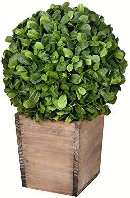 Vickerman Everyday 9 Inch Artificial Boxwood Topiary Ball - Natural Green - For Indoor Use Suspended Or Arrangement Accent - Home Tabletop Fake Bush Decoration 6 Vickerman Everyday 9 Inch Artificial Boxwood Topiary Ball - Natural Green - For Indoor Use Suspended Or Arrangement Accent - Home Tabletop Fake Bush Decoration - Image 4