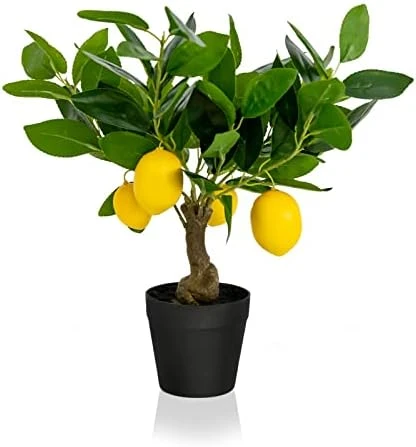 DIIGER Artificial Tree Plant Eucalyptus Tree 6FT Tall, Modern Large Fake Plant Decor In Pot For Indoor Outdoor,Home Office Perfect Housewares Gift Decoration, 71 In Eucalyptus Tree 6 DIIGER Artificial Tree Plant Eucalyptus Tree 6FT Tall, Modern Large Fake Plant Decor In Pot For Indoor Outdoor,Home Office Perfect Housewares Gift Decoration, 71 In Eucalyptus Tree - Image 4