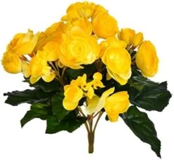 Vickerman 9.5" Artificial Yellow Polyester Begonia Bush -Artificial Trees Store 41Lqdx ML3L. AC