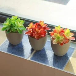 Mingfuxin Artificial Plants, 3 Pack Realistic Faux Succulents In Pots With Flowers For Indoor Office Desk Decor Home Bedroom -Artificial Trees Store 41Lt7lCEzKL