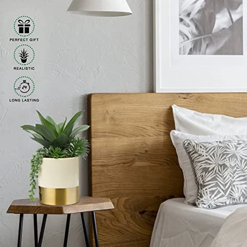 Large Artificial Succulents Plants Faux Succulents 12" Fake Succulent Plants In Gold Ceramic Pot Succulent Plant For Desk Modern Home Living Room Office Table Shelf Decor 6 Large Artificial Succulents Plants Faux Succulents 12" Fake Succulent Plants In Gold Ceramic Pot Succulent Plant For Desk Modern Home Living Room Office Table Shelf Decor - Image 4